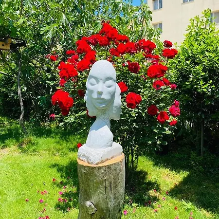 Friends Family 호텔 로제넷츠