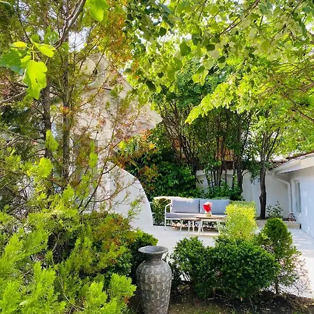 Friends Boutique Hotel